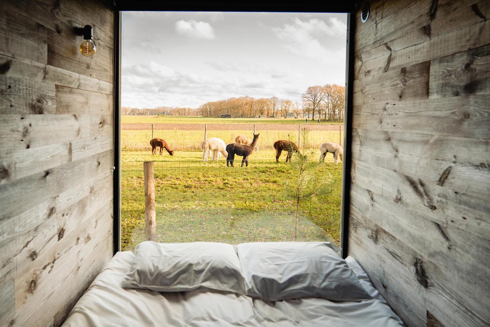 Bed and Breakfast In De Hei Mariahout Esterno foto